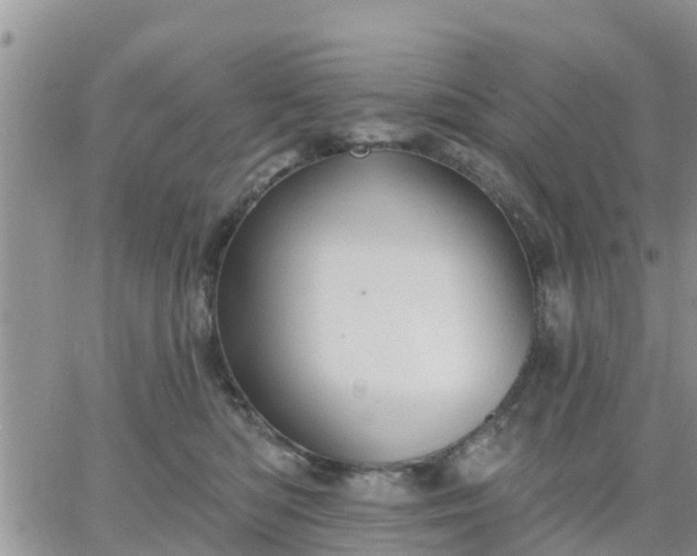 X0000064740422200602171712