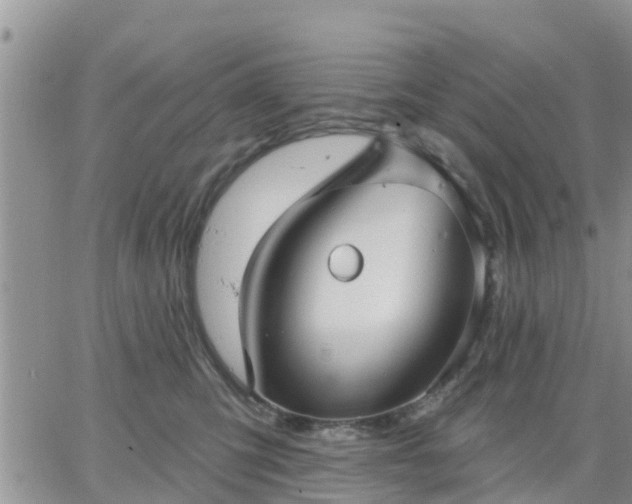 X0000064740423200602171712