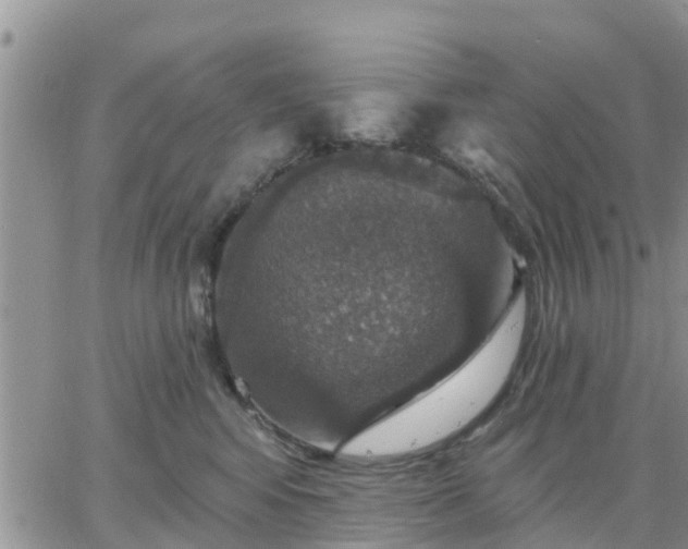 X0000064740424200602171712