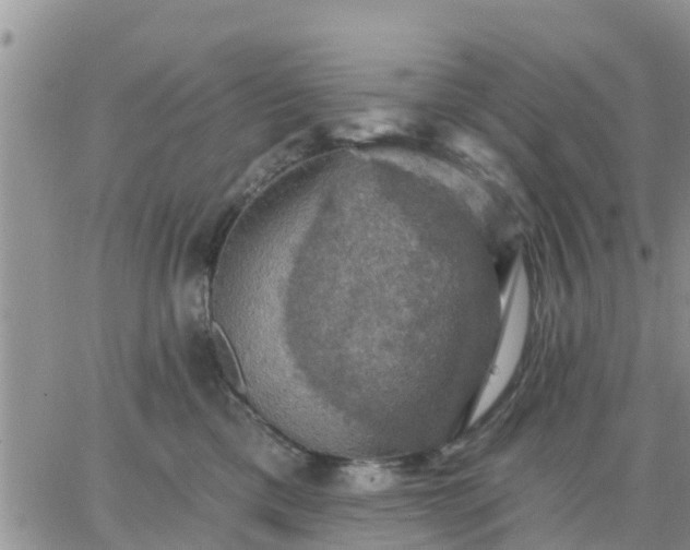 X0000064740425200602171712