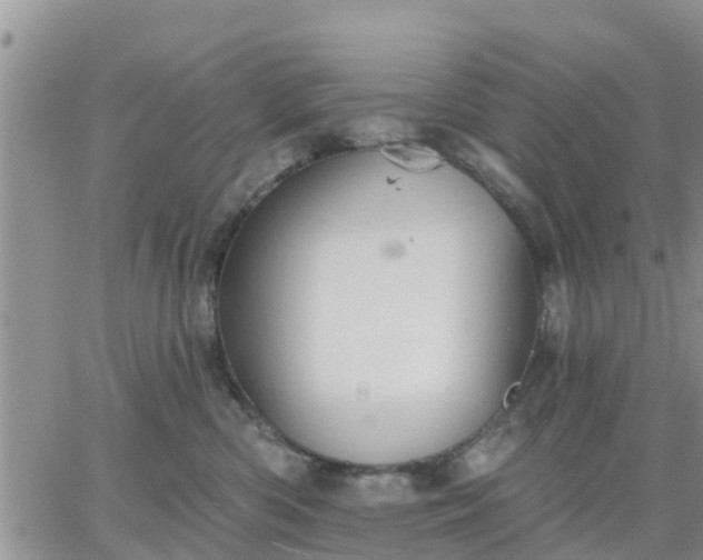 X0000064740426200602171712