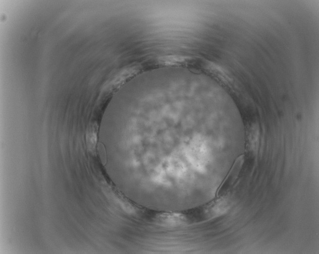 X0000064740427200602171712