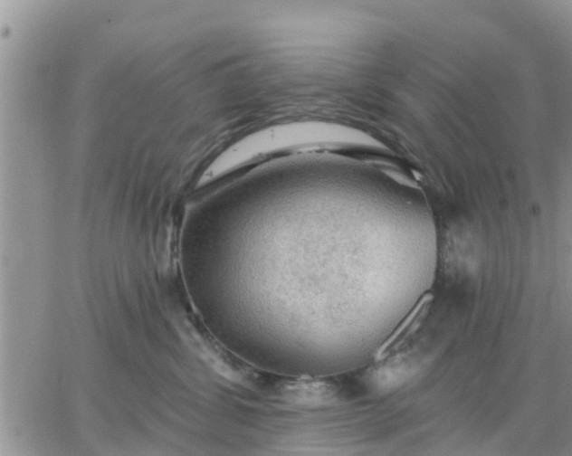 X0000064740428200602171712