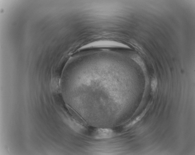 X0000064740429200602171712