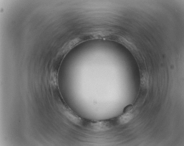 X0000064740430200602171712