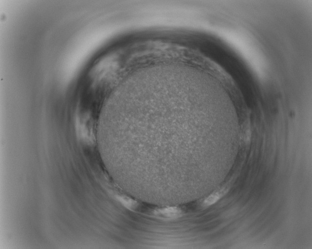 X0000064740431200602171712