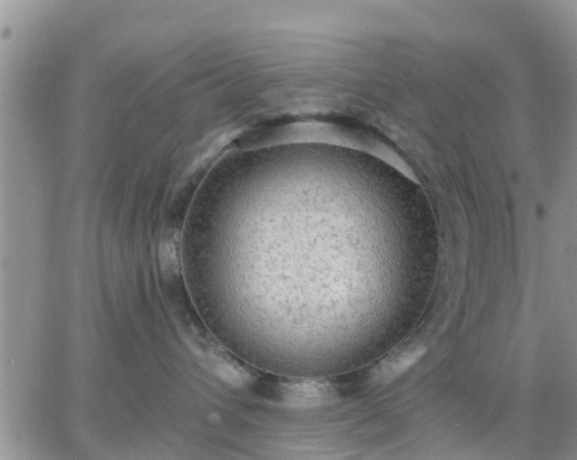 X0000064740432200602171712