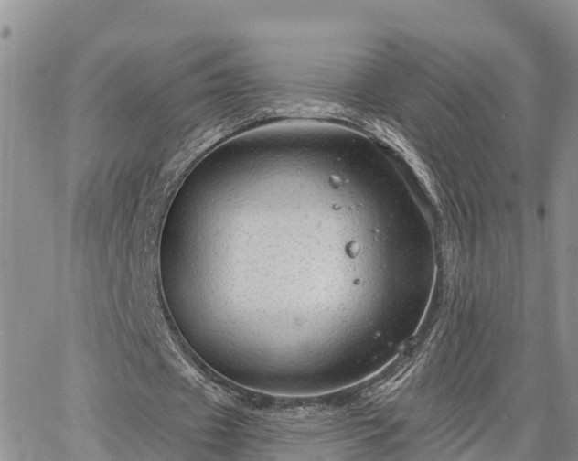 X0000064740433200602171711