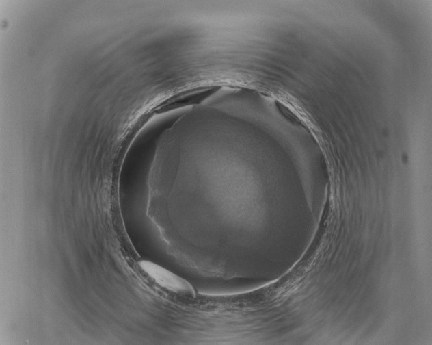 X0000064740434200602171711