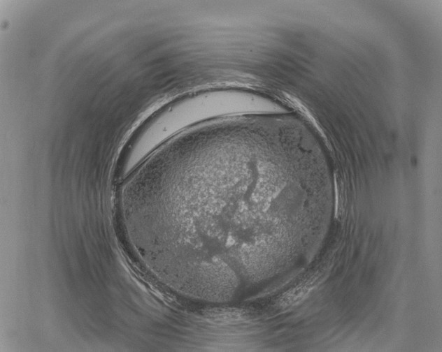 X0000064740435200602171711