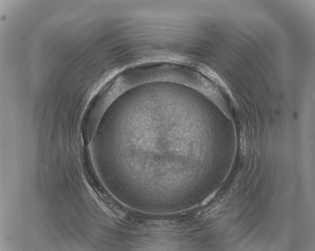 X0000064740436200602171711