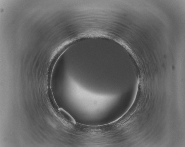 X0000064740438200602171711