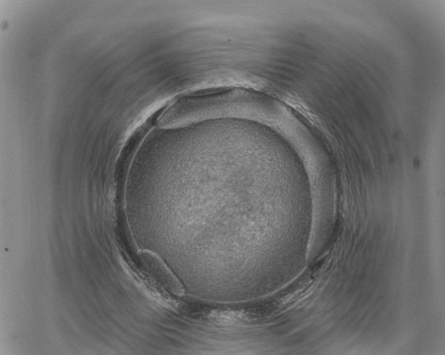 X0000064740440200602171711