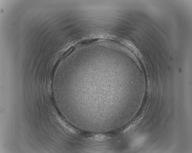 X0000064740441200602171711