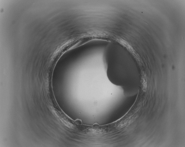 X0000064740442200602171711