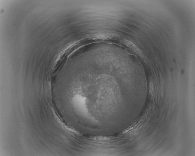 X0000064740444200602171711