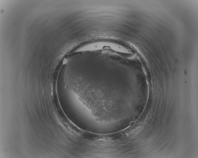 X0000064740447200602171711