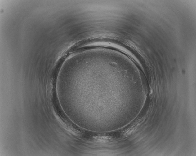 X0000064740448200602171711