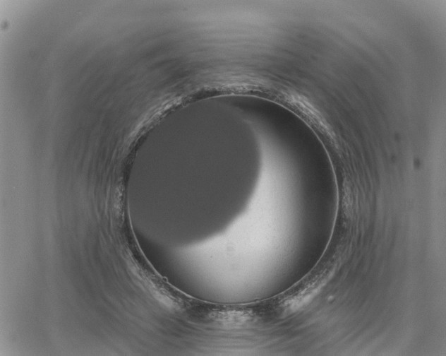 X0000064740449200602171711