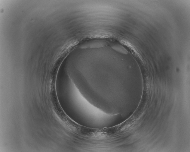 X0000064740451200602171711