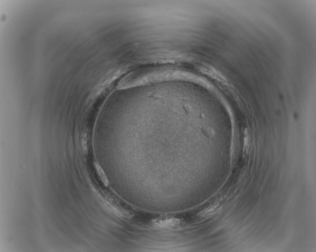 X0000064740452200602171711