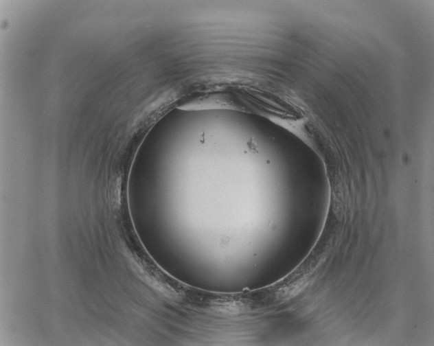 X0000064740454200602171712