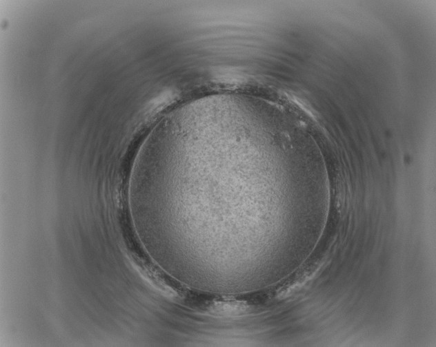 X0000064740455200602171712