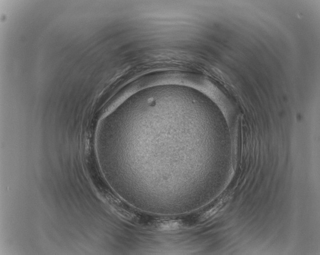 X0000064740456200602171712