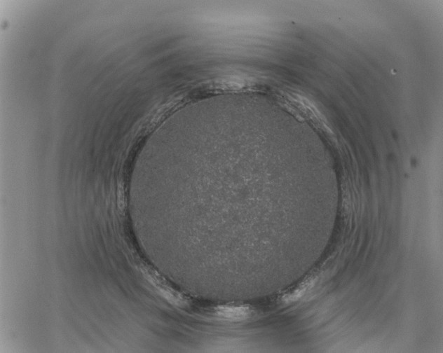 X0000064740457200602171712