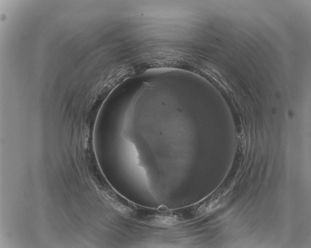 X0000064740458200602171712