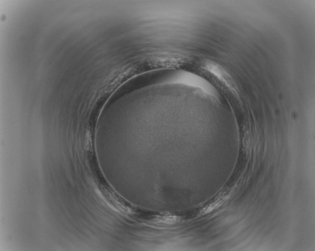 X0000064740459200602171712