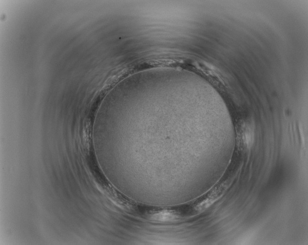 X0000064740460200602171712