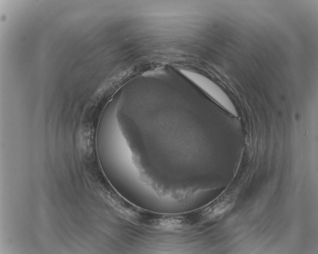 X0000064740462200602171712