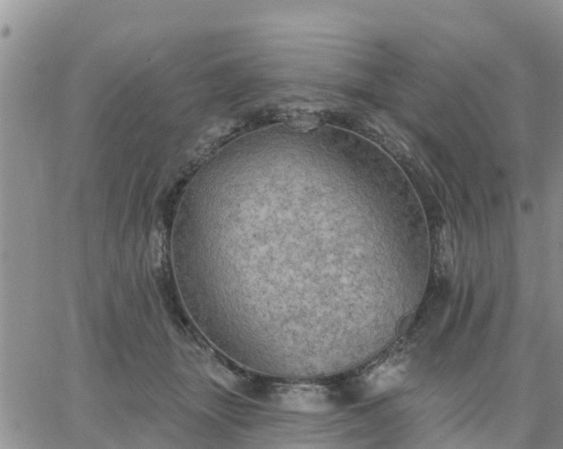 X0000064740463200602171712