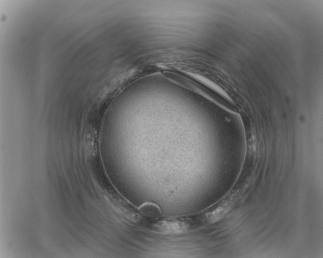 X0000064740464200602171712