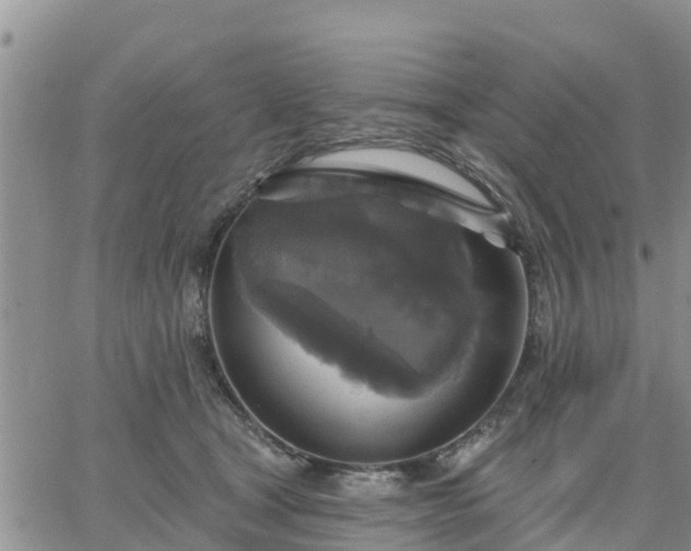 X0000064740465200602171712