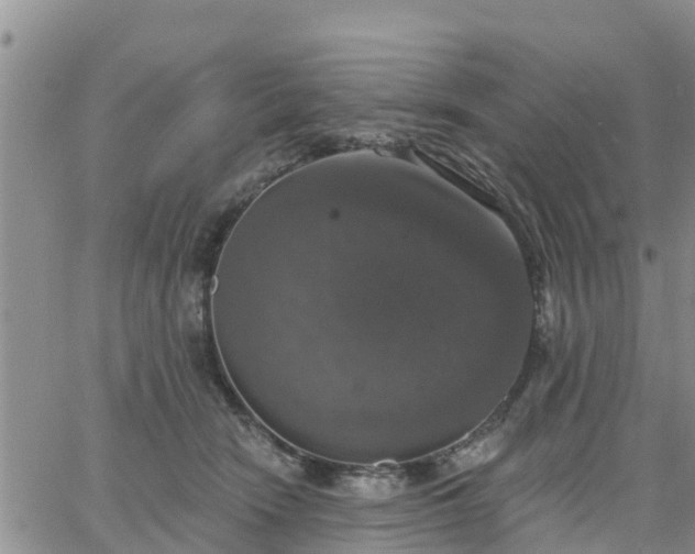 X0000064740466200602171712