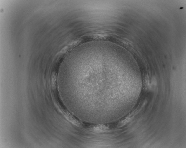 X0000064740468200602171712