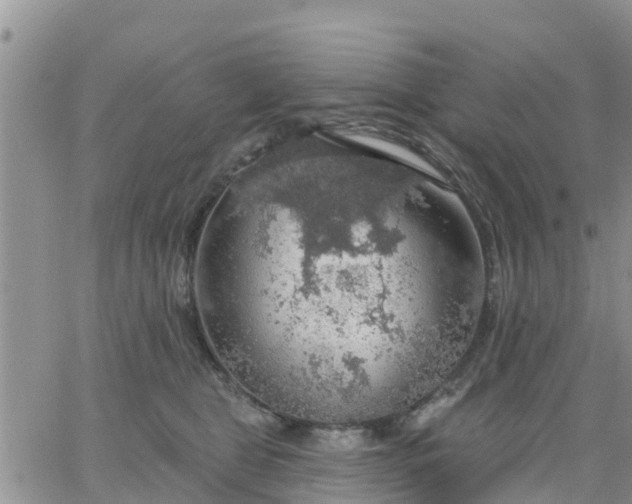 X0000064740469200602171712