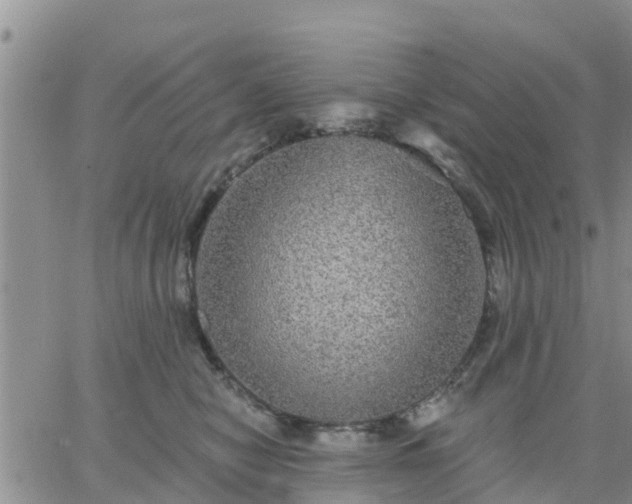 X0000064740470200602171712