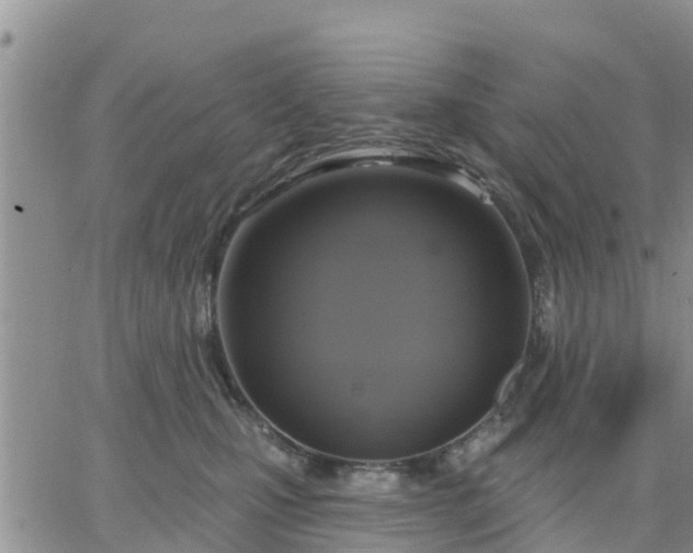 X0000064740471200602171712