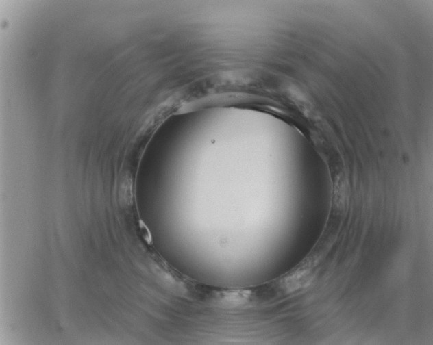 X0000064740474200602171712