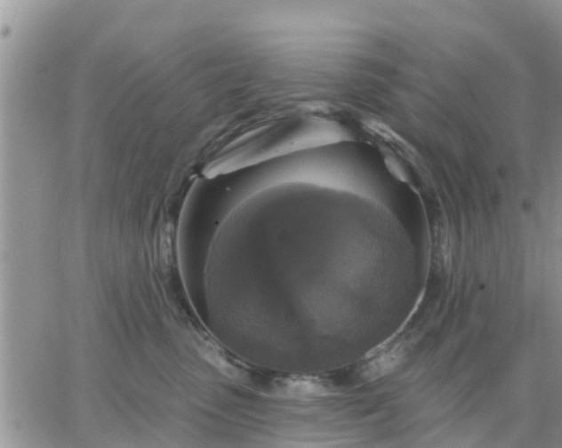 X0000064740475200602171712