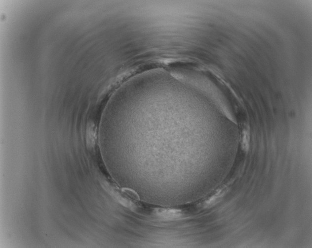 X0000064740476200602171712