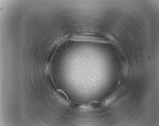 X0000064740477200602171712