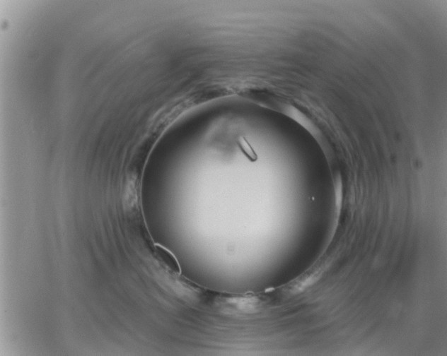 X0000064740478200602171712