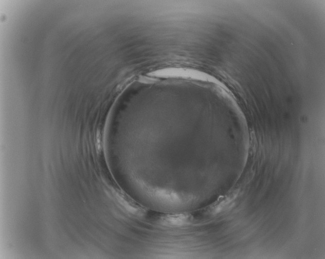 X0000064740479200602171712