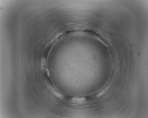 X0000064740480200602171712