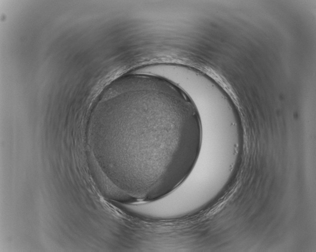 X0000064740481200602171711