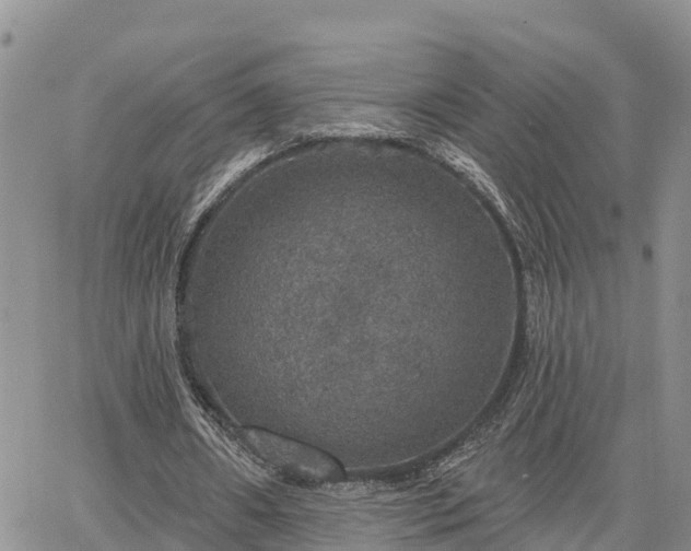 X0000064740482200602171711